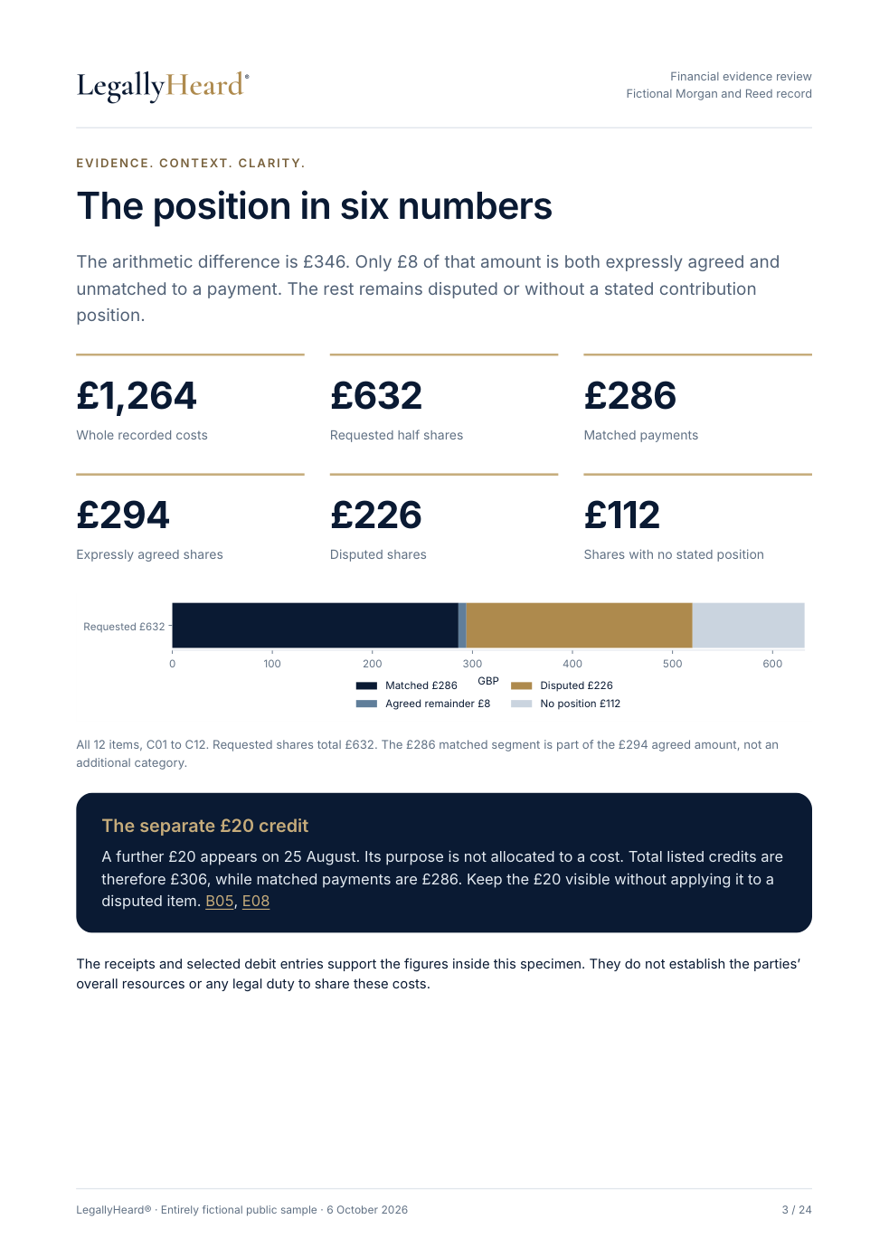 Example page from the fictional financial evidence review